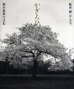 かぎろひ 陽炎〈桜・京・太夫〉 榎本敏雄写真集/榎本敏雄【3000円以上送料無料】