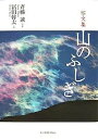 著者斉藤誠(写真) 冨田幹太(著)出版社東京新聞出版局発売日2007年11月ISBN9784808308834ページ数167Pキーワードやまのふしぎしやぶんしゆう ヤマノフシギシヤブンシユウ さいとう まこと とみた かん サイトウ マコト トミタ カン9784808308834内容紹介癒しを感じるうちに山の雑学の楽しさを知る不思議な写文集。※本データはこの商品が発売された時点の情報です。目次輝き/水のとき/雲のゆめ/樹と木/彩り/憩い/人思う/妖しさ/虫こころ