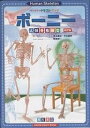 ボーニー 人体骨格模型【3000円以上送料無料】