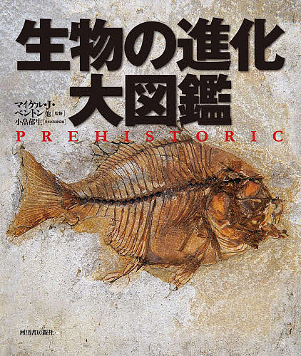 生物の進化大図鑑／マイケル・J・ベントン／小畠郁生日本語版総監修池田比佐子【3000円以上送料無料】