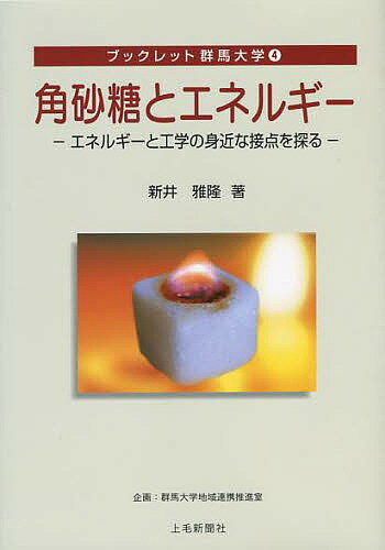 角砂糖とエネルギー エネルギーと工学の身近な接点を探る／新井雅隆【3000円以上送料無料】