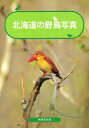 北海道の野鳥写真【3000円以上送料無料】