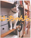 はっちゃんち。/八二一【3000円以上送料無料】