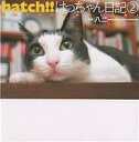 hatch!! はっちゃん日記 2/八二一【3000円以上送料無料】