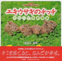 ユキウサギのチッチ サロベツ四季物語【3000円以上送料無料】