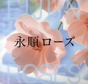 永順ローズ/高橋永順【3000円以上送料無料】