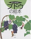 ブドウの絵本/高橋国昭/沢田としき【3000円以上送料無料】