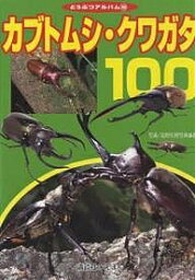 カブトムシ・クワガタ100 どうぶつアルバム 16／海野和男写真事務所／子供／絵本【3000円以上送料無料】