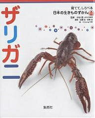 ザリガニ／佐藤裕／安東浩／CheungME【3000円以上送料無料】