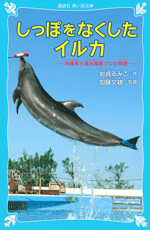 しっぽをなくしたイルカ 沖縄美ら海水族館フジの物語／岩貞るみこ／加藤文雄【3000円以上送料無料】