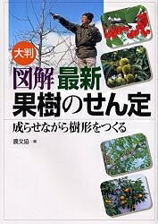 大判図解最新果樹のせん定 成らせながら樹形をつくる／農山漁村文化協会【3000円以上送料無料】