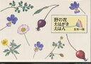 野の花えはがきえほん/古矢一穂【3000円以上送料無料】