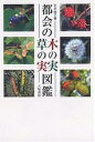 都会の木の実・草の実図鑑/石井桃子【3000円以上送料無料】