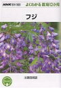 フジ/川原田邦彦【3000円以上送料無料】