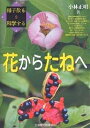 花からたねへ 種子散布を科学する/小林正明【3000円以上送料無料】