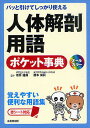 人体解剖用語ポケット事典 パッと引けてしっかり使える 覚えやすい便利な用語集/坂井建雄/橋本尚詞【3000円以上送料無料】