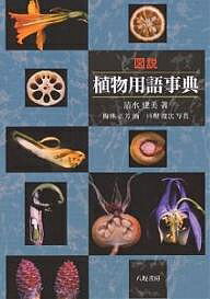 図説植物用語事典／清水建美【3000円以上送料無料】