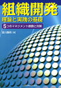 組織開発 理論と実践の基礎 5つのマネジメント課題と対策/宮川雅明【3000円以上送料無料】