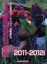 半導体産業計画総覧 2011-2012年度版【3000円以上送料無料】