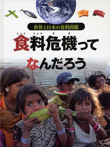 食料危機ってなんだろう／山崎亮一【3000円以上送料無料】