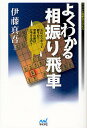 著者伊藤真吾(著)出版社マイナビ出版発売日2011年10月ISBN9784839940751ページ数221Pキーワードよくわかるあいふりびしやまいなびしようぎぶつくす ヨクワカルアイフリビシヤマイナビシヨウギブツクス いとう しんご イトウ シンゴ9784839940751内容紹介玉はどうやって囲うの？攻めの形はどうするの？リードを奪う駒組みと仕掛け。戦法別「よくわかる」シリーズ第5弾。※本データはこの商品が発売された時点の情報です。目次第1章 向かい飛車対三間飛車/第2章 相向かい飛車/第3章 先手三間飛車/第4章 先手四間飛車/第5章 その他の相振り飛車（先手中飛車/後手3二飛戦法）