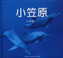 小笠原/小林修一【3000円以上送料無料】