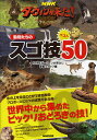 NHKダーウィンが来た!動物たちのスゴ技ベスト50 生きもの新伝説/NHK「ダーウィンが来た!」番組スタッフ【3000円以上送料無料】
