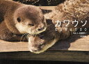 カワウソ/佐藤淳一【3000円以上送料無料】