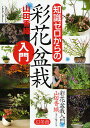 知識ゼロからの彩花盆栽入門/山田香織【3000円以上送料無料】