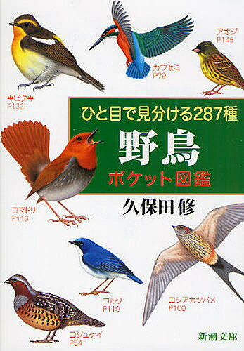 野鳥ポケット図鑑　ひと目で見分ける287種／久保田修【3000円以上送料無料】