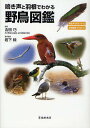 鳴き声と羽根でわかる野鳥図鑑 鳴き声QRコード付 羽根模様イラスト付【3000円以上送料無料】