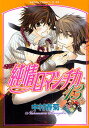 純情ロマンチカ 13/中村春菊【3000円以上送料無料】