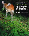 イマドキの野生動物 人間なんて怖くない 写真ルポ/宮崎学【3000円以上送料無料】