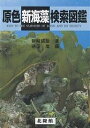 原色新海藻検索図鑑/新崎盛敏/徳田廣【3000円以上送料無料】