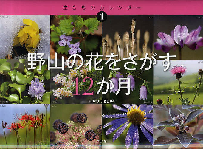 野山の花をさがす12か月／いがりまさし／すがわらけいこ【3000円以上送料無料】