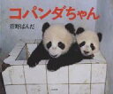コパンダちゃん 菅野ぱんだ写真集/菅野ぱんだ【3000円以上送料無料】