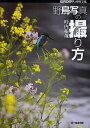 野鳥写真の撮り方/叶内拓哉【3000円以上送料無料】