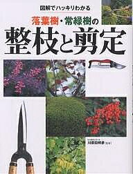 ※商品画像はイメージや仮デザインが含まれている場合があります。帯の有無など実際と異なる場合があります。出版社永岡書店発売日2004年02月ISBN9784522421994ページ数191Pキーワードずかいではつきりわかるらくようじゆじようりよくじゆ ズカイデハツキリワカルラクヨウジユジヨウリヨクジユ かわらだ くにひこ カワラダ クニヒコ9784522421994