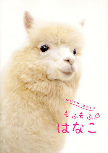 ��դ�� �Ϥʤ�����ܥ���ѥ��Ҿ��3000�߰ʾ�����̵����