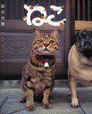 ねこ/岩合光昭【3000円以上送料無料】