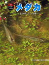 メダカ 小川や田んぼにすむ魚／草野慎二／松浦啓一【3000円以上送料無料】