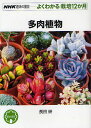 多肉植物/長田研【3000円以上送料無料】