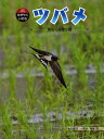 ツバメ 春にくる渡り鳥/亀田龍吉/西海功【3000円以上送料無料】
