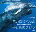 まいごになった子どものクジラ　南太平洋トンガ王国のザトウクジラ／越智隆治