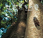 Rakuten - セミたちの夏／筒井学／子供／絵本【3000円以上送料無料】