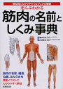 ぜんぶわかる筋肉の名前としくみ事典 部位別にわかりやすくビジュアル解説/肥田岳彦/山田敬喜【3000円以上送料無料】