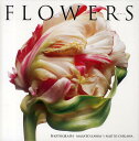 FLOWERS/河合正人/大川直人【3000円以上送料無料】