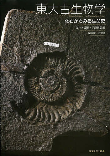 東大古生物学 化石からみる生命史／佐々木猛智／伊藤泰弘／山田昭順【3000円以上送料無料】