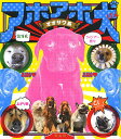 アホアホ犬/オオサワ系【3000円以上送料無料】