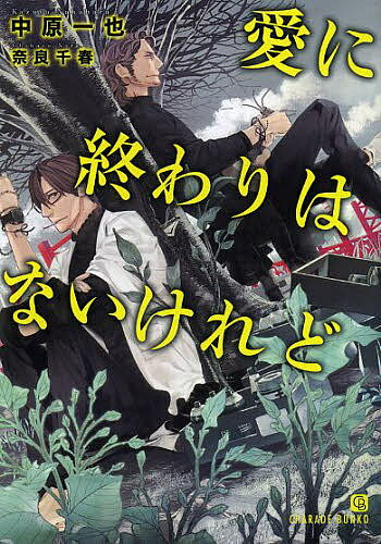 愛に終わりはないけれど／中原一也【3000円以上送料無料】